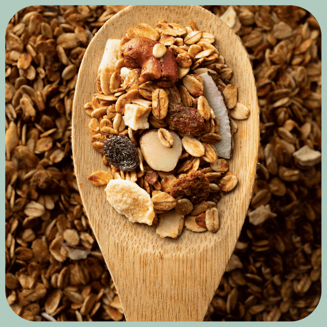 Recipes to nourish your entire family