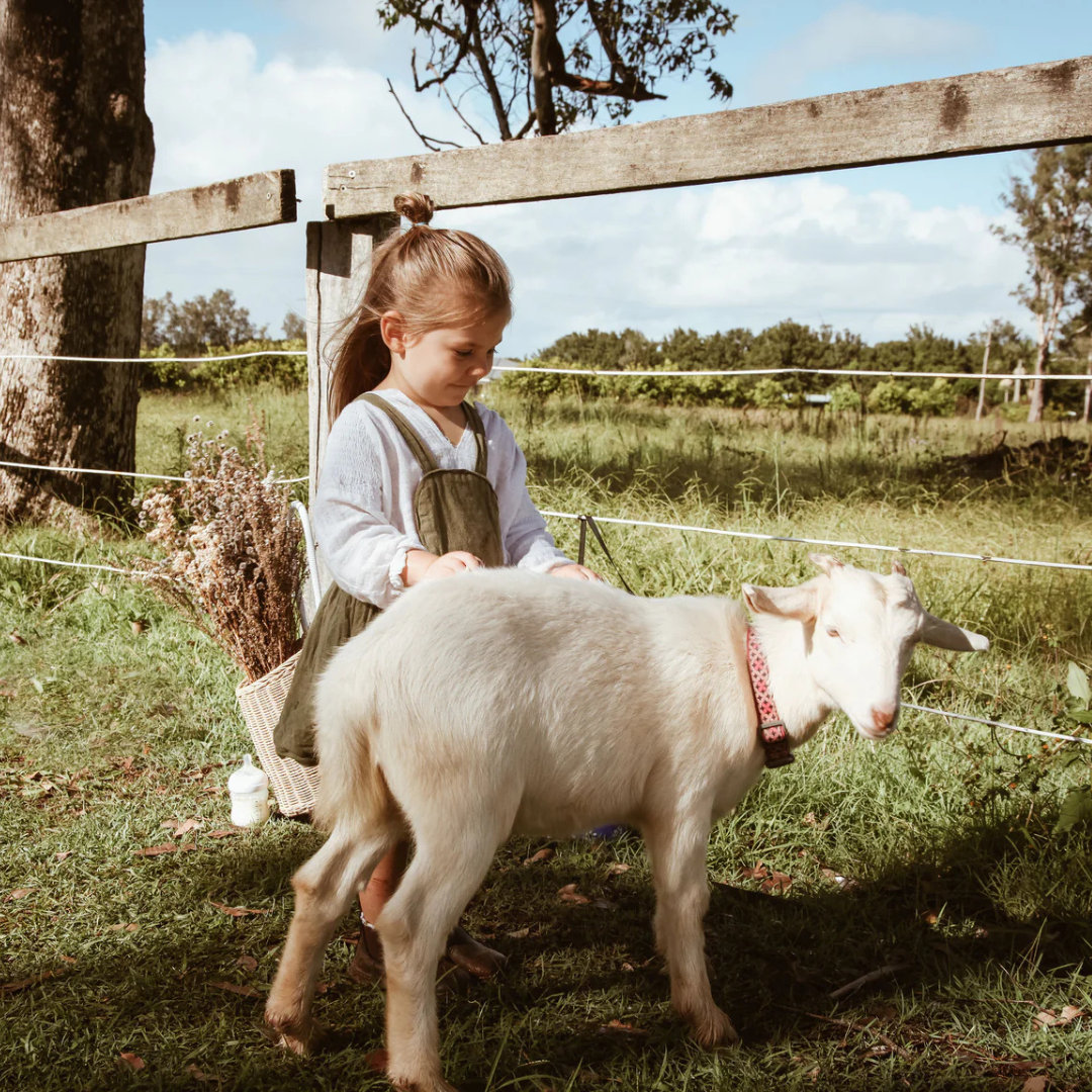 A young girl petting a baby goat on a farm
